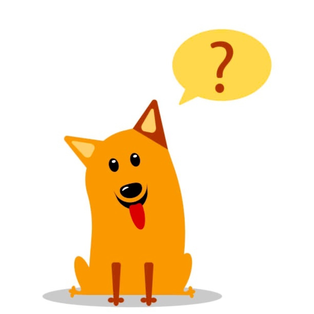 Mystery Dog Leash
